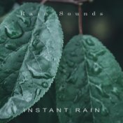 Instant Rain