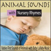 Animal Sounds With Nursery Rhymes: Babies First Sounds of Animals With Baby Lullaby Music