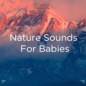 !!" Nature Sounds For Babies "!!