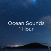!!" Ocean Sounds 1 Hour  "!!