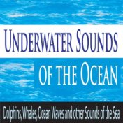 Underwater Sounds of the Ocean: Dolphins, Whales, Ocean Waves and Other Sounds of the Sea