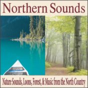 Northern Sounds: Nature Sounds, Loons, Forest, & Music from the North Country