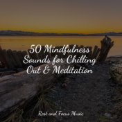 50 Mindfulness Sounds for Chilling Out & Meditation