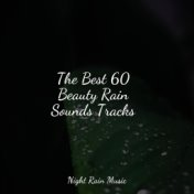 The Best 60 Beauty Rain Sounds Tracks