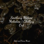 Soothing Nature Melodies | Chilling Out