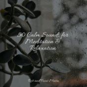 50 Calm Sounds for Meditation & Relaxation