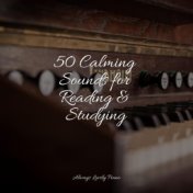 50 Calming Sounds for Reading & Studying