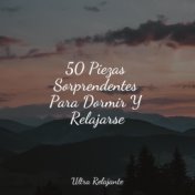 50 Piezas Sorprendentes Para Dormir Y Relajarse