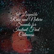 50 Loopable Rain and Nature Sounds for Instant Find Calmness