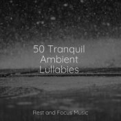 50 Tranquil Ambient Lullabies