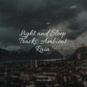 Light and Sleep Tracks: Ambient Rain