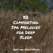 50 Comforting Spa Melodies for Deep Sleep