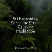 50 Enchanting Songs for Stress Relieving Meditation