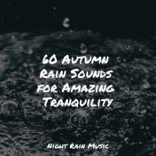 60 Autumn Rain Sounds for Amazing Tranquility
