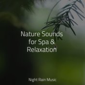 Nature Sounds for Spa & Relaxation