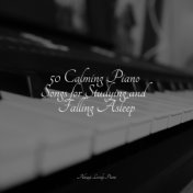 50 Calming Piano Songs for Studying and Falling Asleep