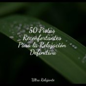 50 Pistas Reconfortantes Para la Relajación Definitiva