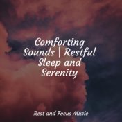 Comforting Sounds | Restful Sleep and Serenity