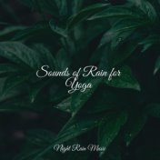 Sounds of Rain for Yoga