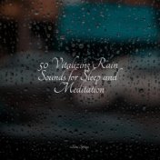 50 Vitalizing Rain Sounds for Sleep and Meditation