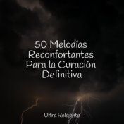 50 Melodías Reconfortantes Para la Curación Definitiva