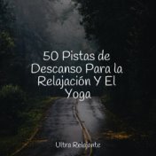 50 Pistas de Descanso Para la Relajación Y El Yoga