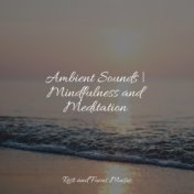 Ambient Sounds | Mindfulness and Meditation