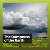 The Dampness of the Earth