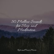 50 Mellow Sounds for Sleep and Meditation