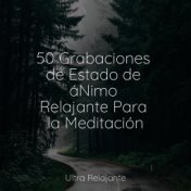 50 Grabaciones de Estado de áNimo Relajante Para la Meditación