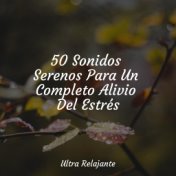 50 Sonidos Serenos Para Un Completo Alivio Del Estrés