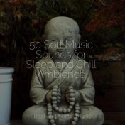 50 Soft Music Sounds for Sleep and Chill Ambience