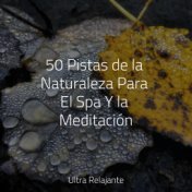 50 Pistas de la Naturaleza Para El Spa Y la Meditación