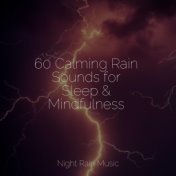 60 Calming Rain Sounds for Sleep & Mindfulness