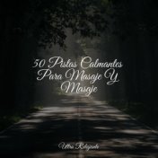 50 Pistas Calmantes Para Masaje Y Masaje