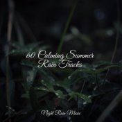 60 Calming Summer Rain Tracks