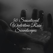 50 Sensational Wintertime Rain Soundscapes