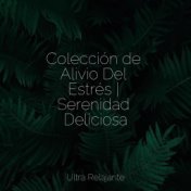 Colección de Alivio Del Estrés | Serenidad Deliciosa