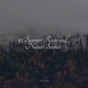 50 Summer Rain and Nature Sounds