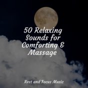 50 Relaxing Sounds for Comforting & Massage