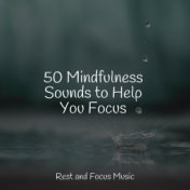 50 Mindfulness Sounds to Help You Focus
