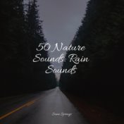 50 Nature Sounds: Rain Sounds