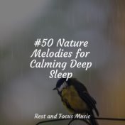 #50 Nature Melodies for Calming Deep Sleep