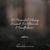 50 Peaceful Sleepy Sounds for Ultimate Mindfulness