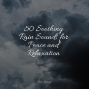 50 Soothing Rain Sounds for Peace and Relaxation