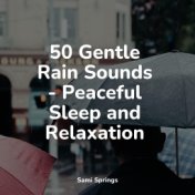 50 Gentle Rain Sounds - Peaceful Sleep and Relaxation