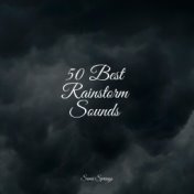 50 Best Rainstorm Sounds