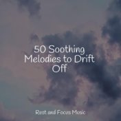 50 Soothing Melodies to Drift Off