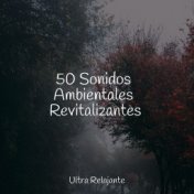 50 Sonidos Ambientales Revitalizantes