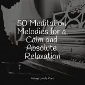 50 Meditation Melodies for a Calm and Absolute Relaxation